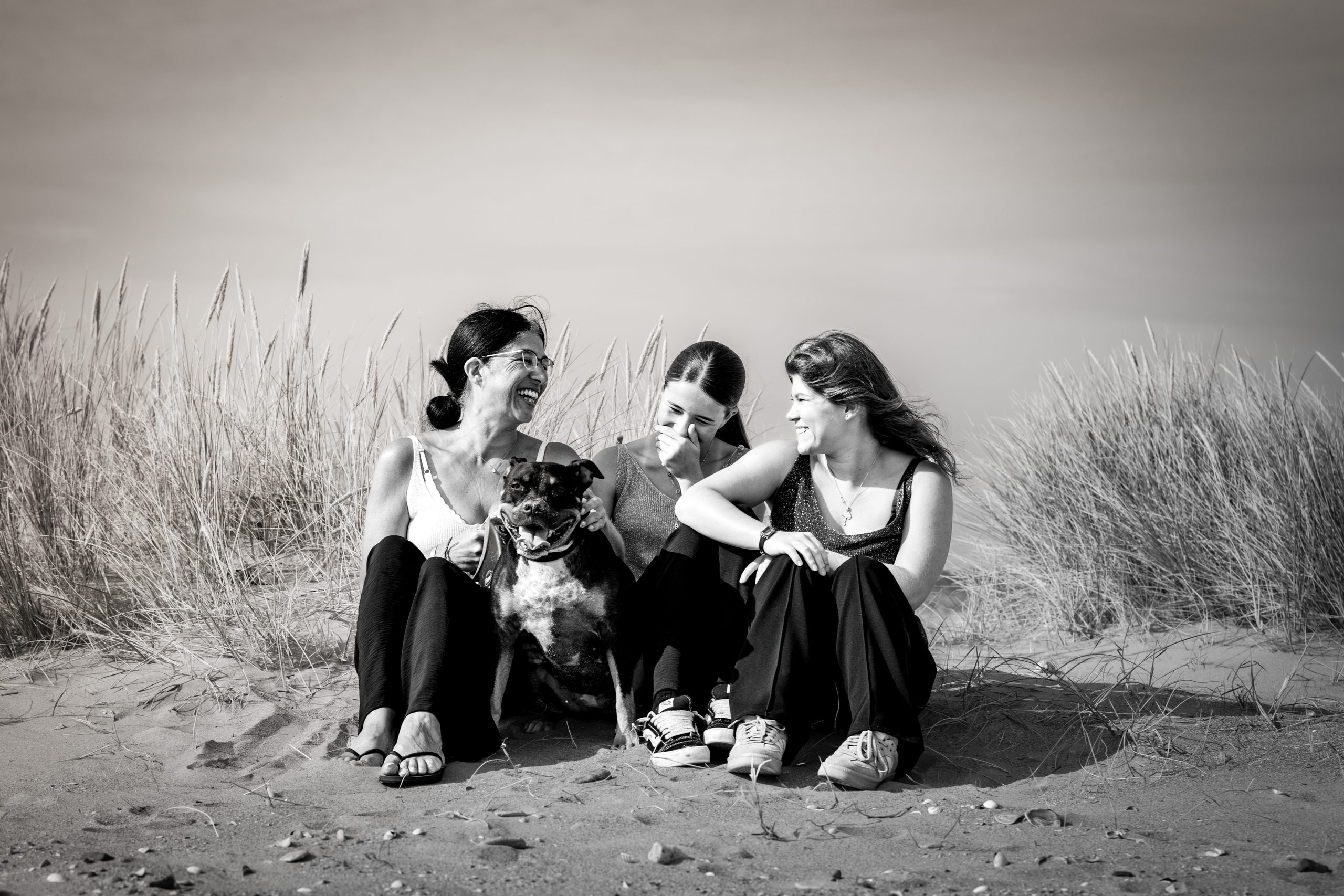 Chanel, staffie, en séance photo animalière à Caen